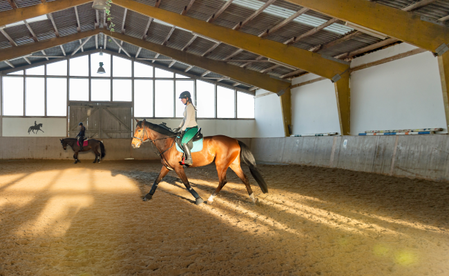 Image - Sanierung der Reithalle „Am Stockumer Berg“ 