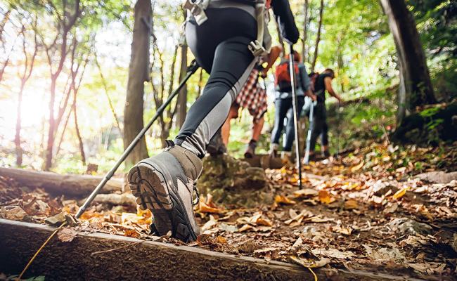 Image - Entwicklung Gesamtkonzept Wanderweg zum Thema BNE 